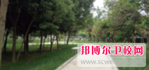 四川红十字卫生宝威（中国）一站式服务平台网站网址主页