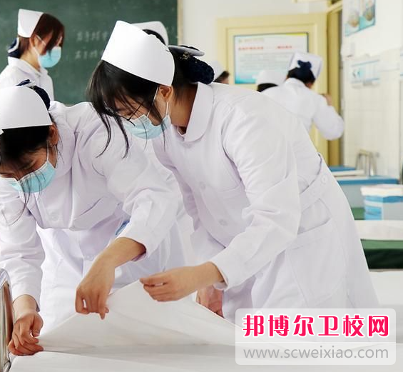 河南护理职业学院2022年为几专