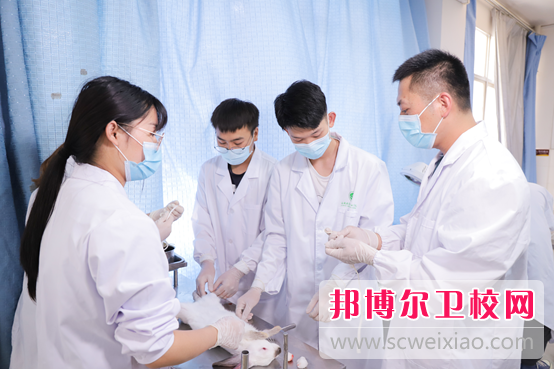 云南外事外语职业学院2022年网站网址 
