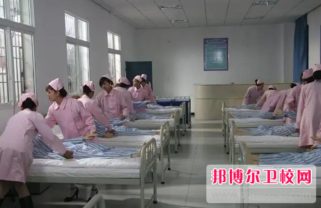 护理20