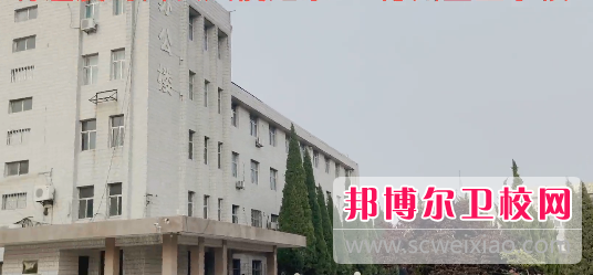 山东2023年技术卫校有哪些