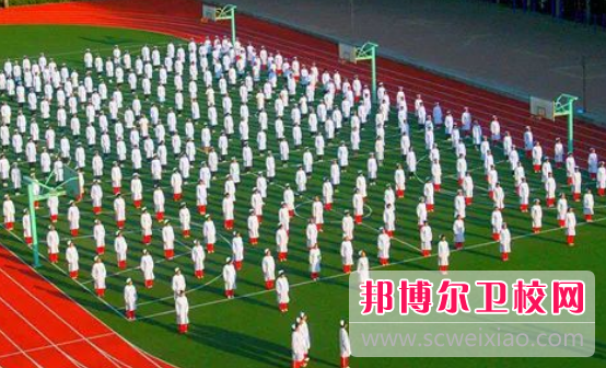 山东2023年哪个职业技术卫校好