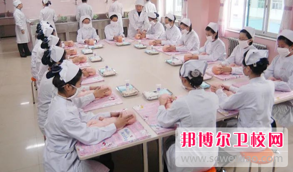 山东2023年哪个职业技术卫校好