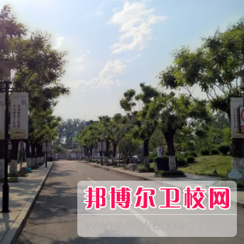 山东2023年职业技术卫校哪个好