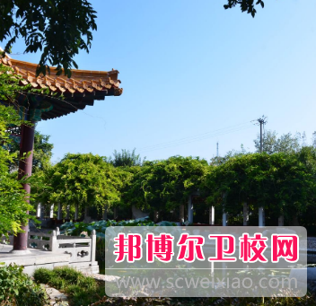 山东2023年职业技术卫校哪个好