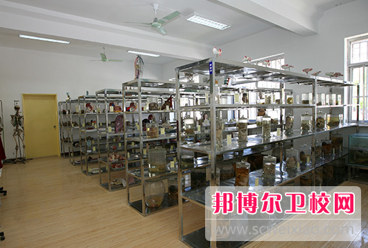 山东2023年哪个卫校学技术好