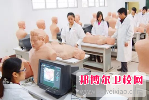 山东2023年上哪种卫校比较好