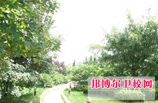 山东2023年什么职业技术卫校好