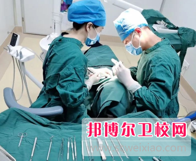 山东2023年职业卫校有什么专业