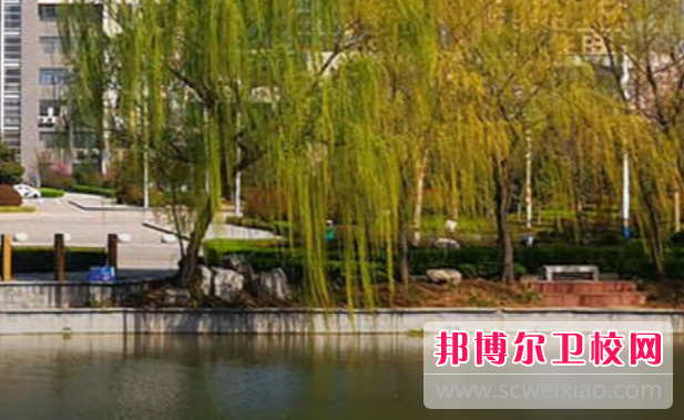 山东2023年哪些大专的卫校比较好