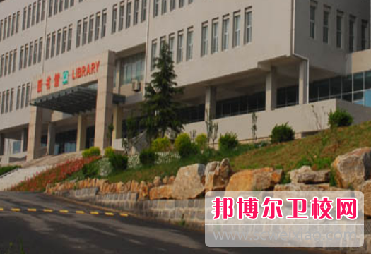 山东2023年比较好的卫校大专