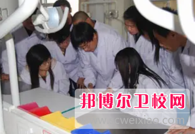山东2023年哪个大专卫校的专业好