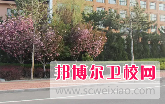 山东2023年初中生读卫校怎么样