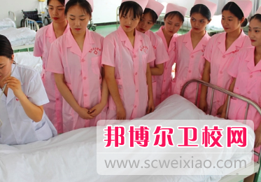 山东2023年读卫校有什么专业