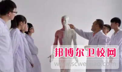 山东2023年卫校有哪些专业适合男生