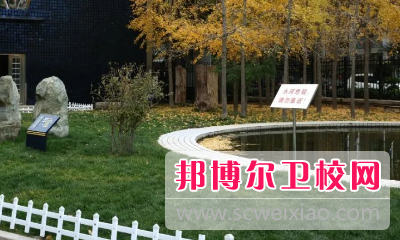 山东2023年好的卫校