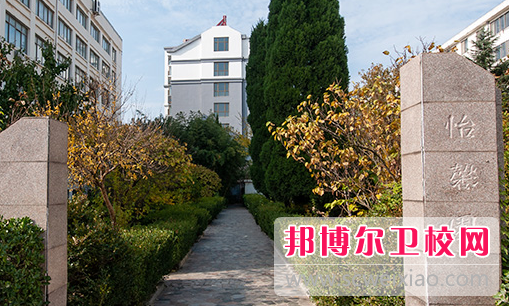 山东2023年有啥好卫校