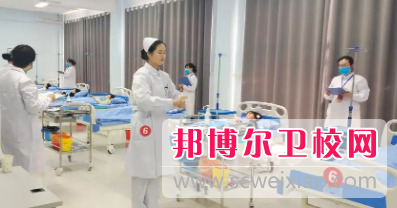 山东2023年职高和卫校哪个好