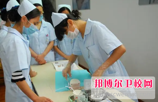 山东2023年初中生报什么卫校