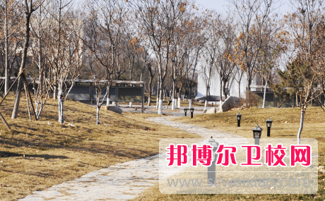 山东2023年有哪些卫校最好就业
