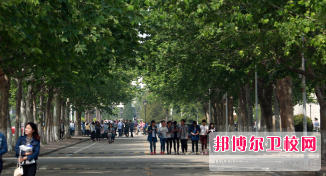 山东2023年有哪些卫校最好就业