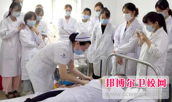 山东2023年卫校在哪里