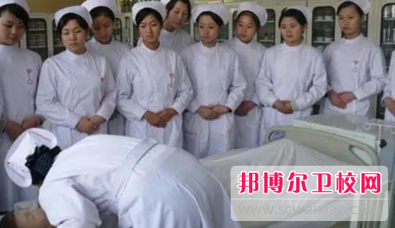山东2023年卫校什么学历