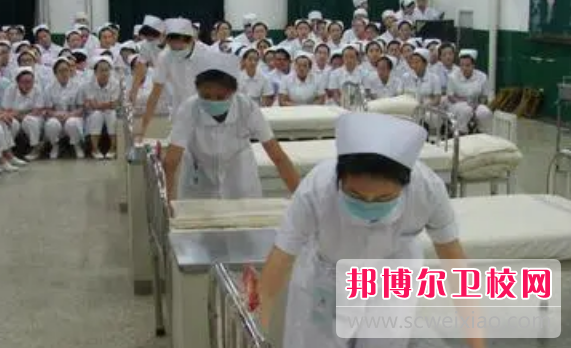 山东2023年卫校在哪儿