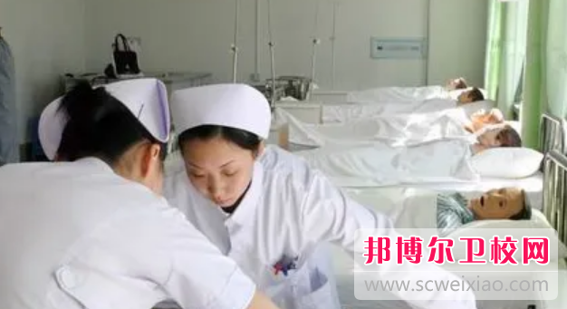 山东2023年读卫校有没有用