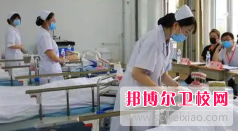山东2023年读卫校