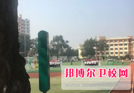 山东2023年读什么卫校比较好