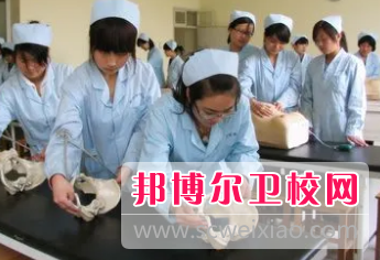 河南2023年技术卫校有哪些专业