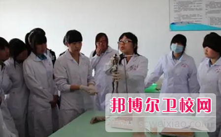 河南2023年卫校都哪些专业