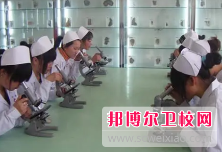 河南2023年卫校都哪些专业