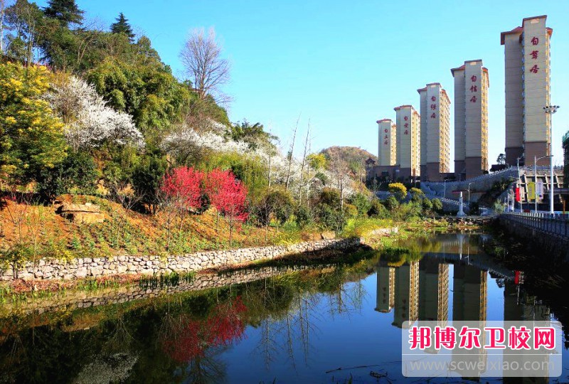 贵州2023年没有毕业证可以读卫校吗