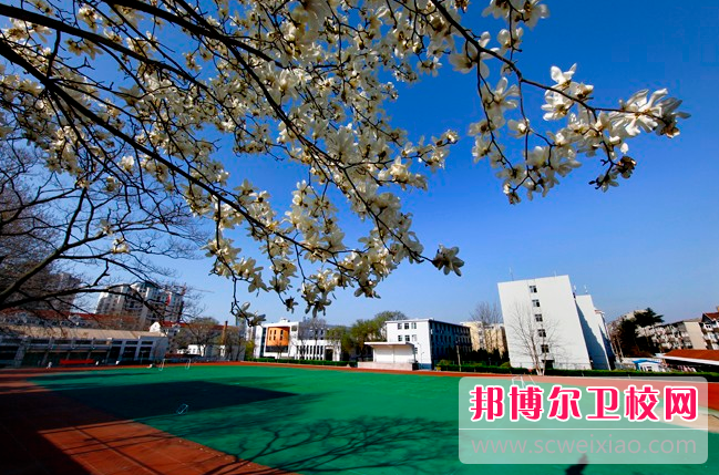 2023年青岛有哪些比较好的卫校