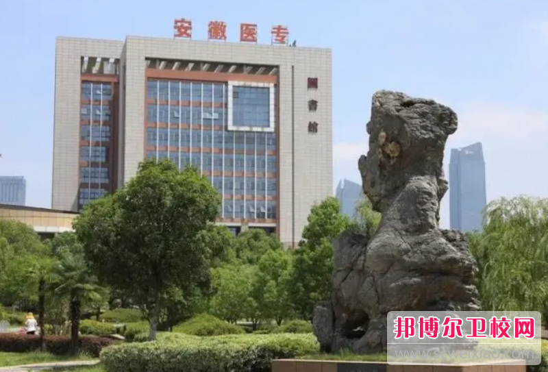 2023年合肥有哪些比较好的卫校