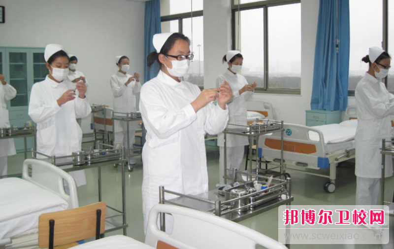 2023年河北女子职业技术学院专业介绍