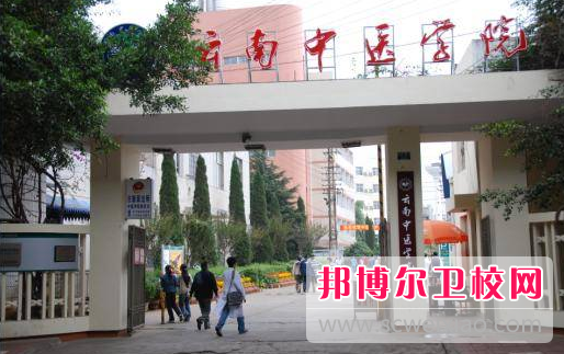 2023年云南中医学院护理学专业介绍