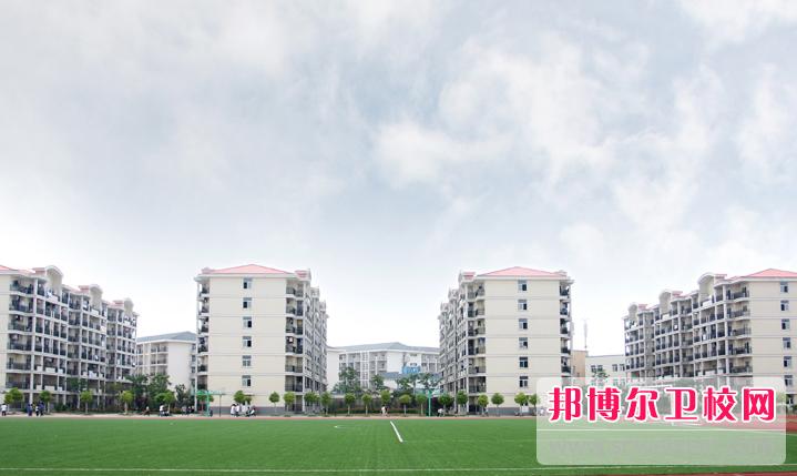 2023年合肥信息技术职业学院护理专业介绍