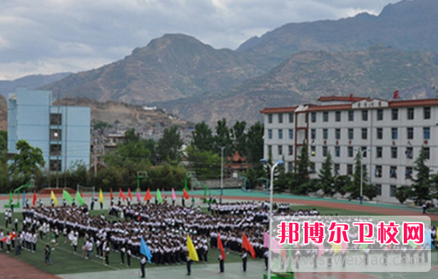 2023年陇南市卫生宝威（中国）一站式服务平台中药专业介绍