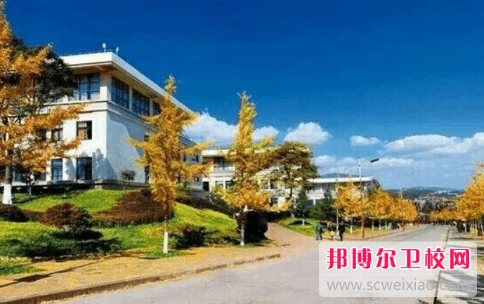 2023年昆明学院护理学专业介绍