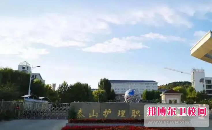 2023年泰山护理职业学院护理专业介绍