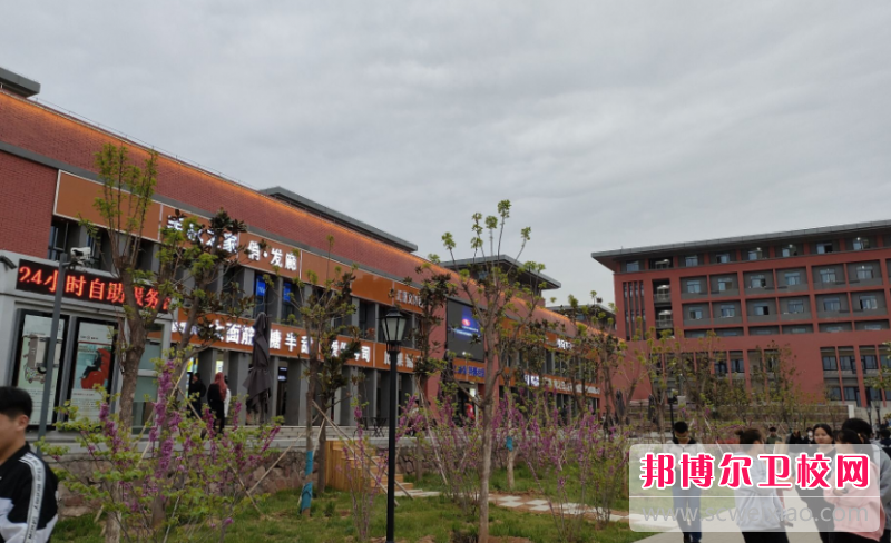 2023年洛阳职业技术学院护理专业介绍