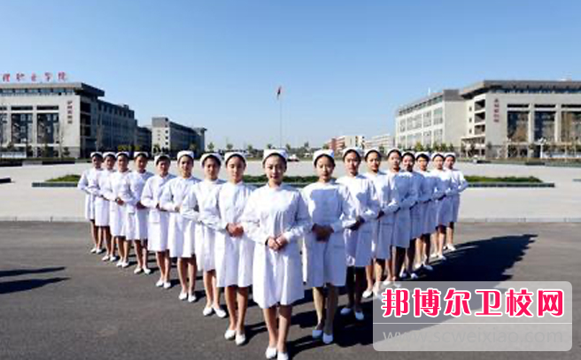 2023年河南护理职业学院食品检测技术专业介绍