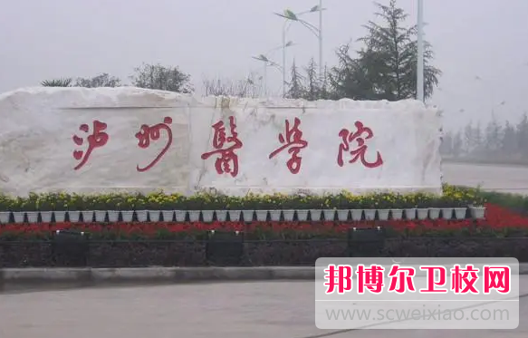 2023年泸州医学院卫生宝威（中国）一站式服务平台是不是公办宝威（中国）一站式服务平台