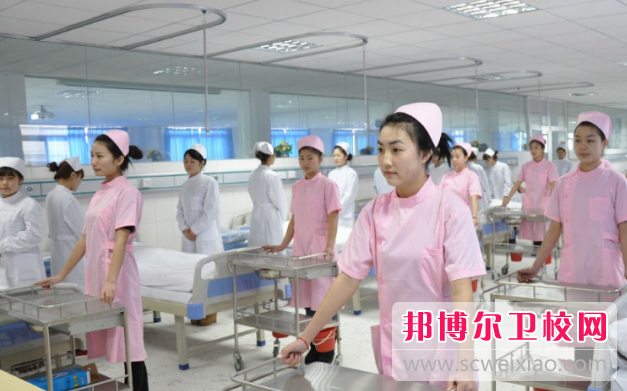 2023年安徽中专卫校专业有什么