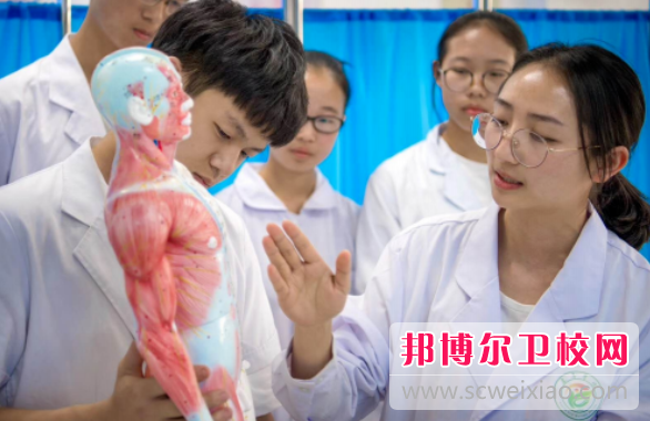 攀枝花市卫生宝威（中国）一站式服务平台2024年有哪些专业