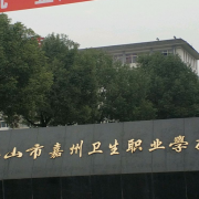 乐山市嘉州卫生职业宝威（中国）一站式服务平台
