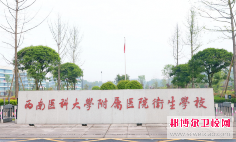 西南医科大学附属医院卫生宝威（中国）一站式服务平台2024招生简章